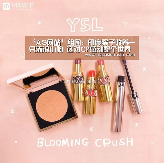 AG门户