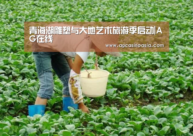 青海湖雕塑与大地艺术旅游季启动|AG在线(图3) AG视讯
