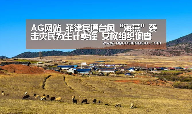 AG网站_菲律宾遭台风“海燕”袭击灾民为生计卖淫 女权组织调查(图3) AG门户