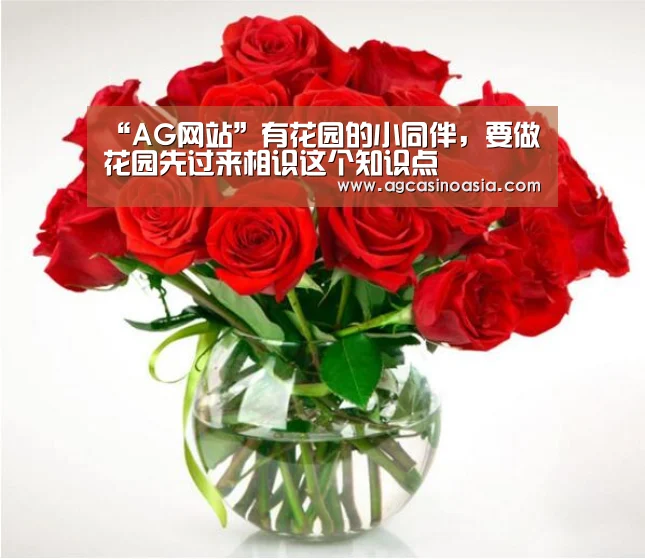 “AG网站”有花园的小同伴,要做花园先过来相识这个知识点(图2) AG在线