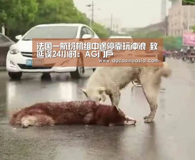 AG门户