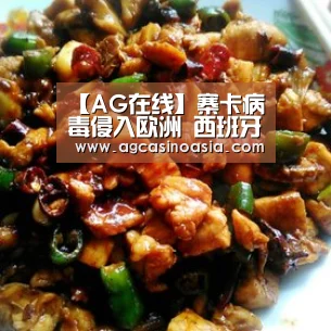 【AG在线】寨卡病毒侵入欧洲 西班牙上报本国首例感染者(图4) AG网站