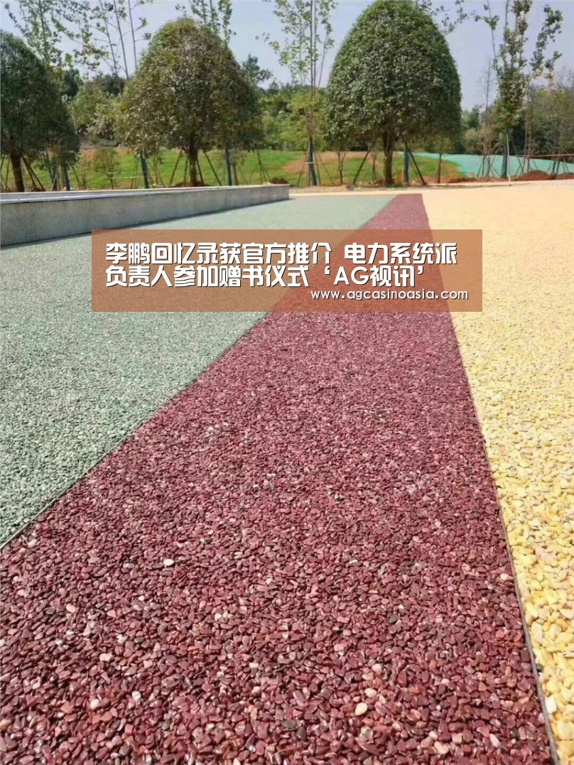 李鹏回忆录获官方推介 电力系统派负责人参加赠书仪式‘AG视讯’(图1) AG视讯