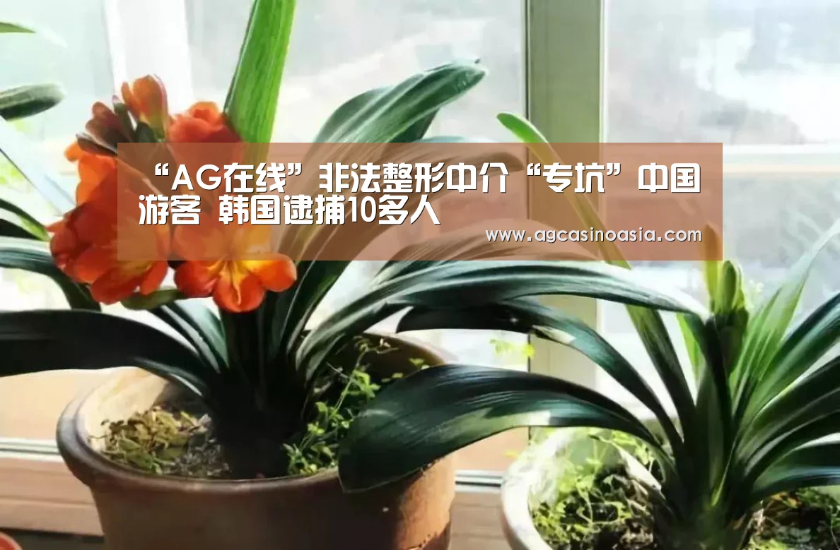 AG在线
