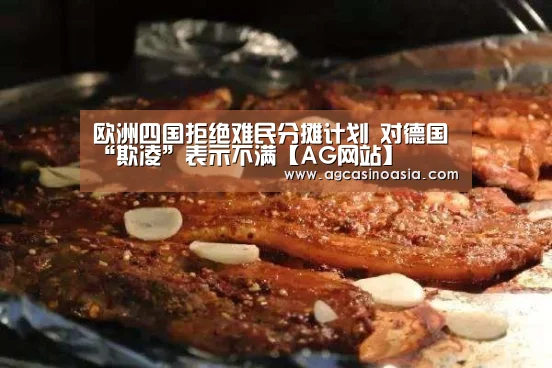 欧洲四国拒绝难民分摊计划 对德国“欺凌”表示不满【AG网站】(图4) AG视讯
